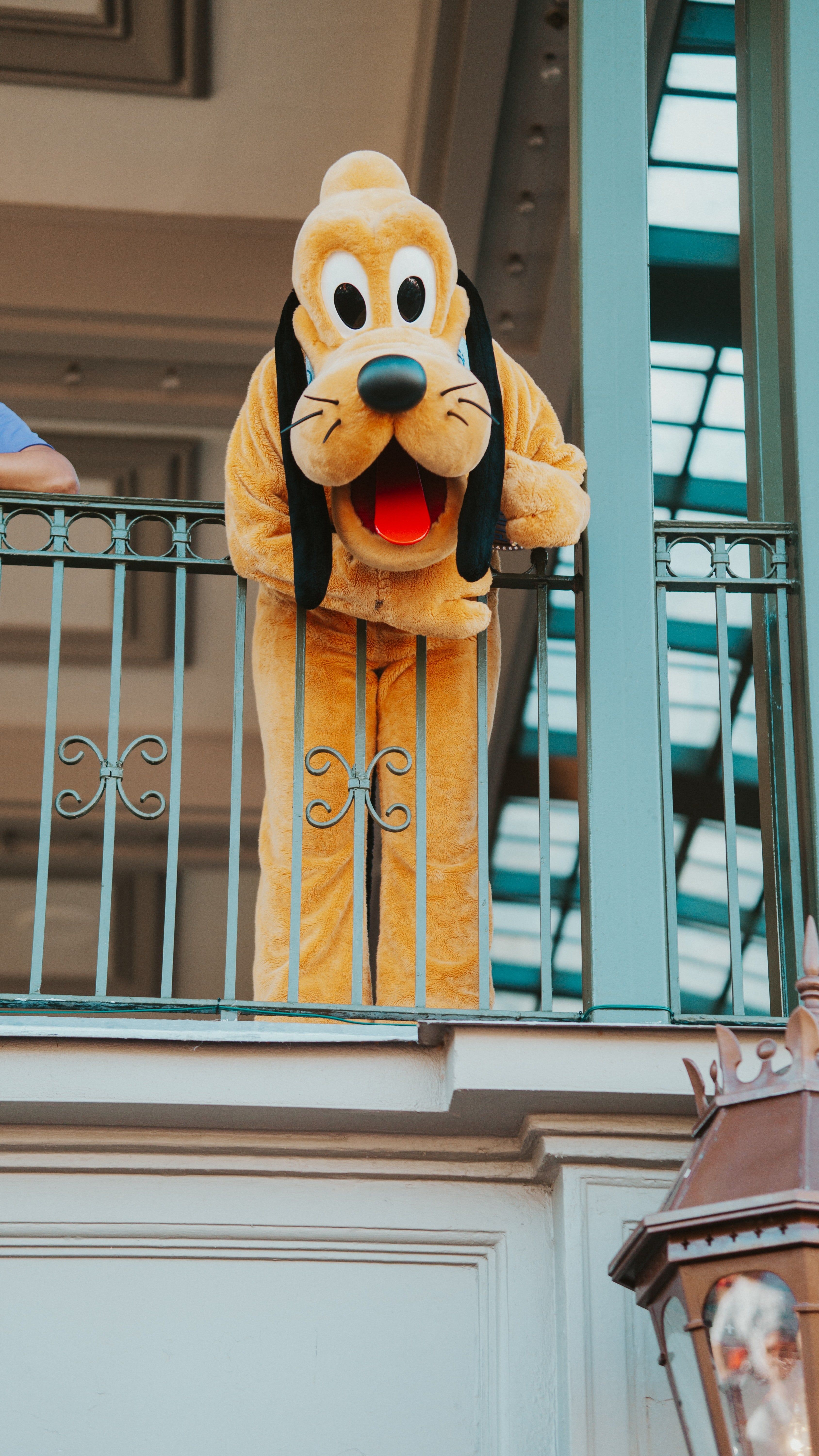 A Pluto character greets visitors at Disneyland. - Disneyland