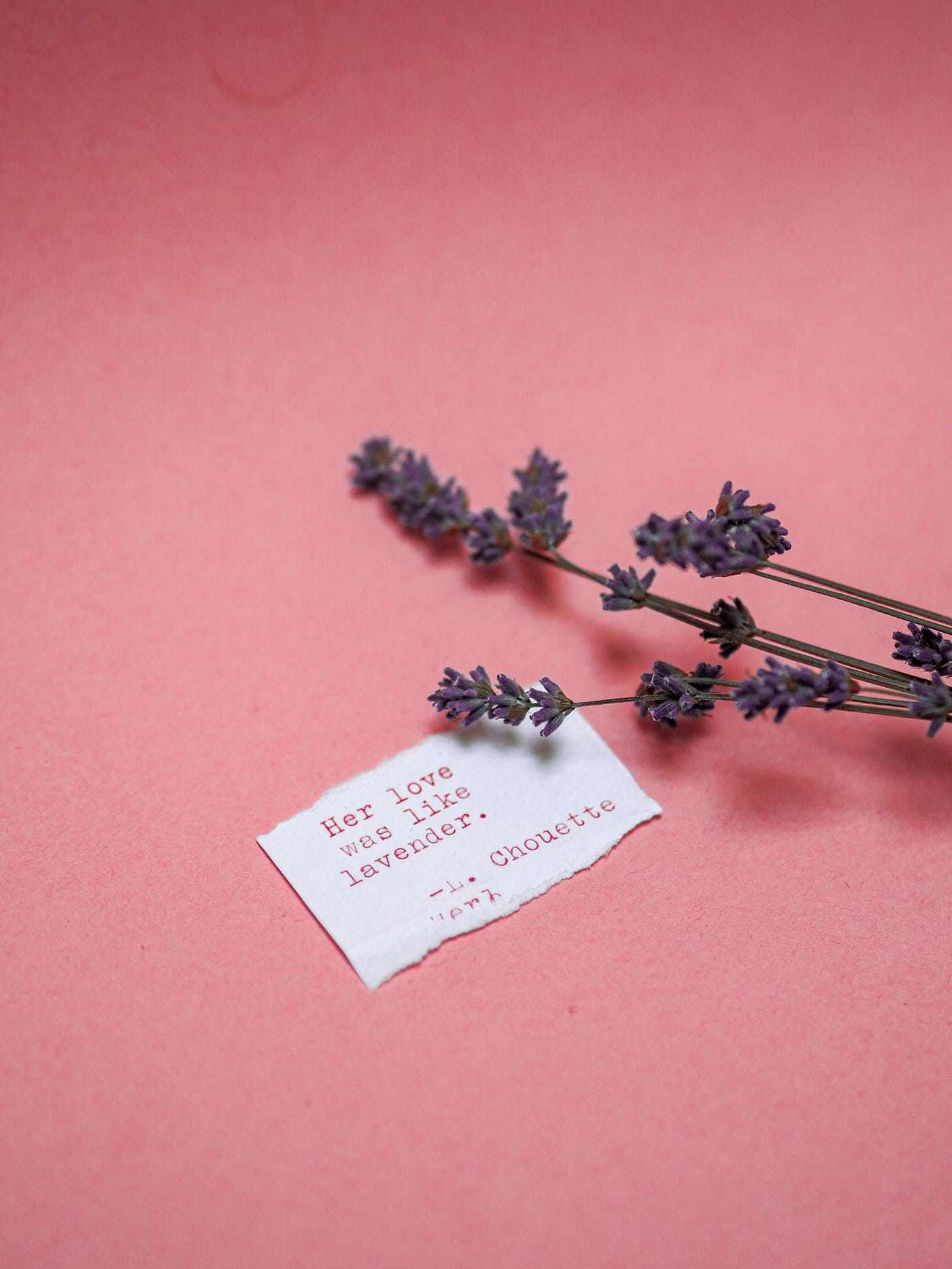 A sprig of lavender on a pink background with a small piece of paper that says 