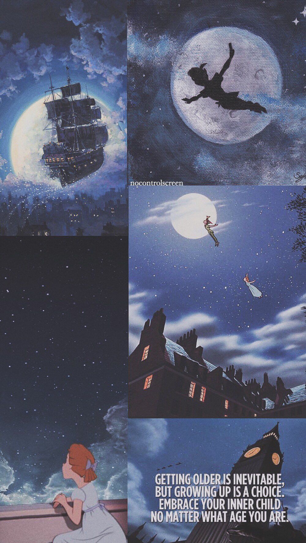 Peter Pan and the Neverland pirates. - Peter Pan