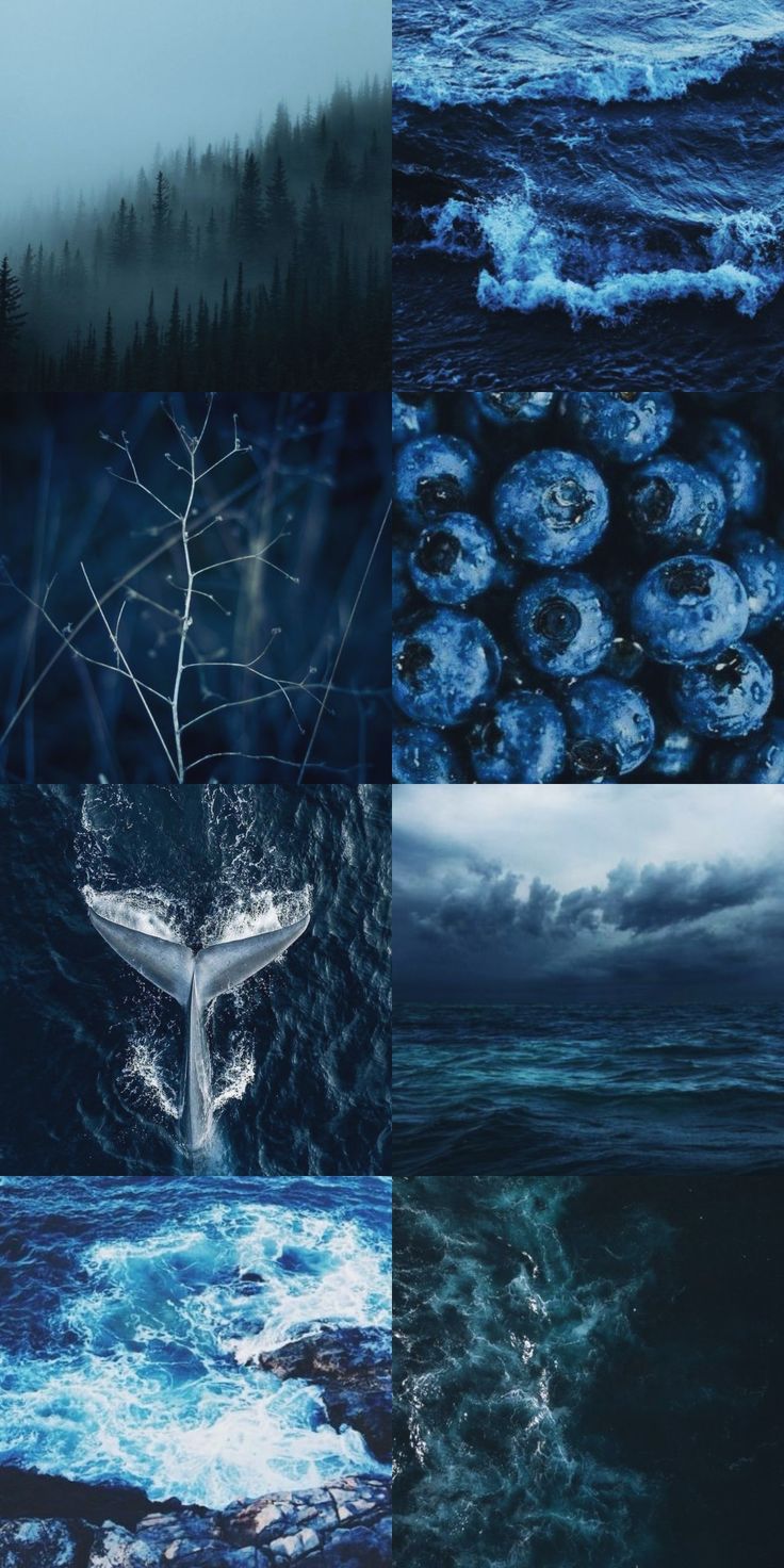 Blue aesthetic background with blueberries, whale, ocean, and storm. - Magic