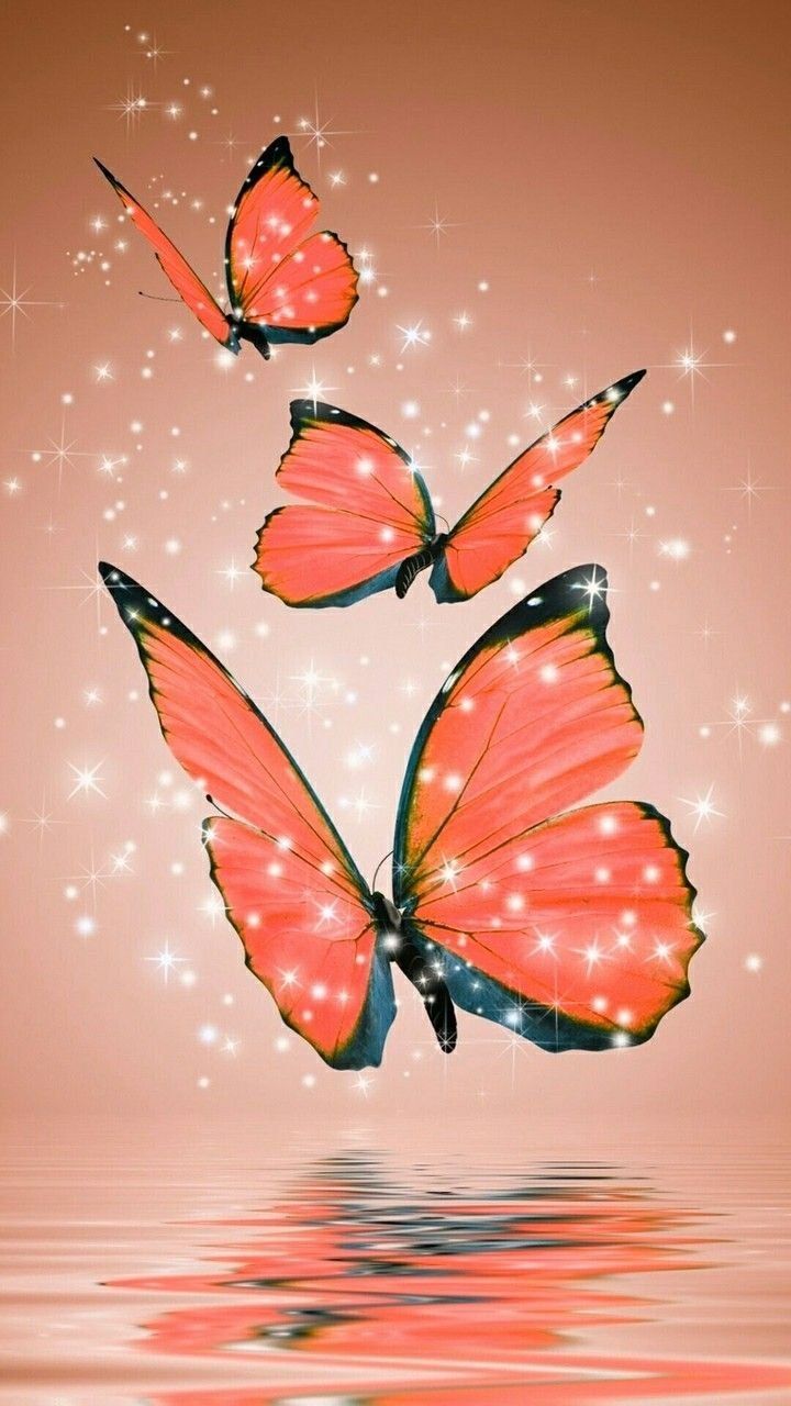 Aesthetic magic butterflies Wallpaper Download