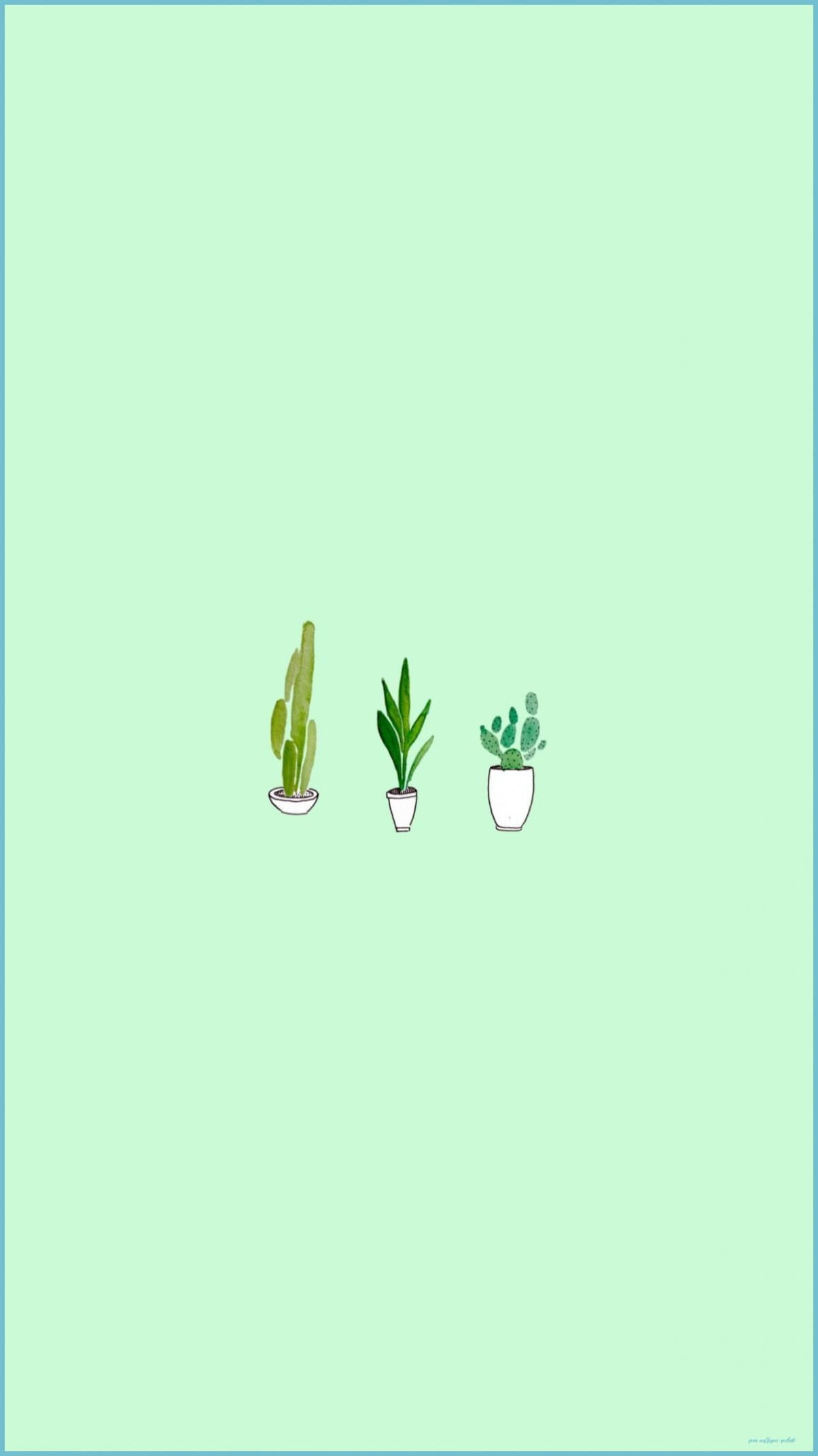 Soft pastel green background with minimal plants. Mobile wallpaper [1204x2141]