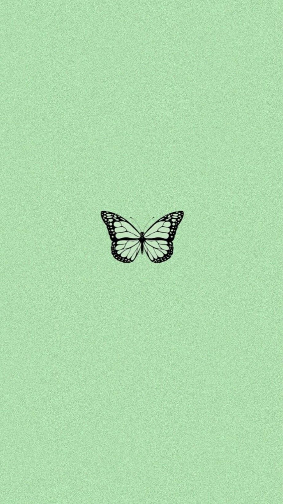 Butterfly on a green background, aesthetic backgrounds, phone background - Pastel green