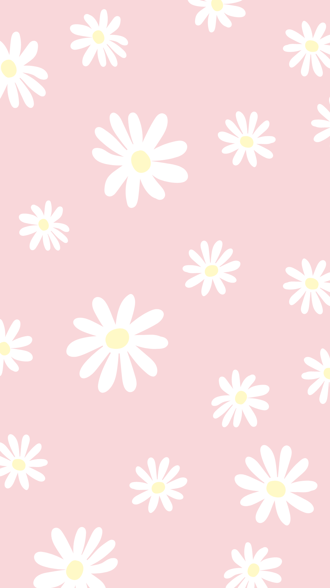 A pink background with white daisies - Pink phone