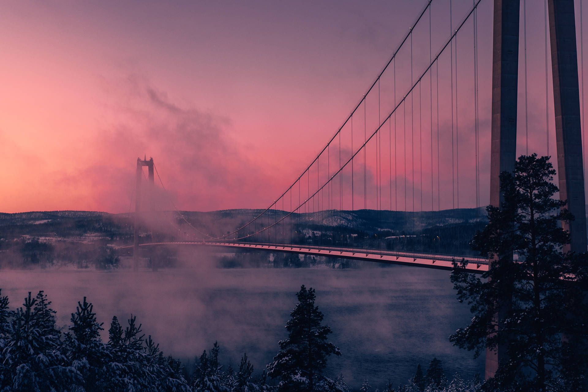 A suspension bridge with fog and a pink sky - Fog