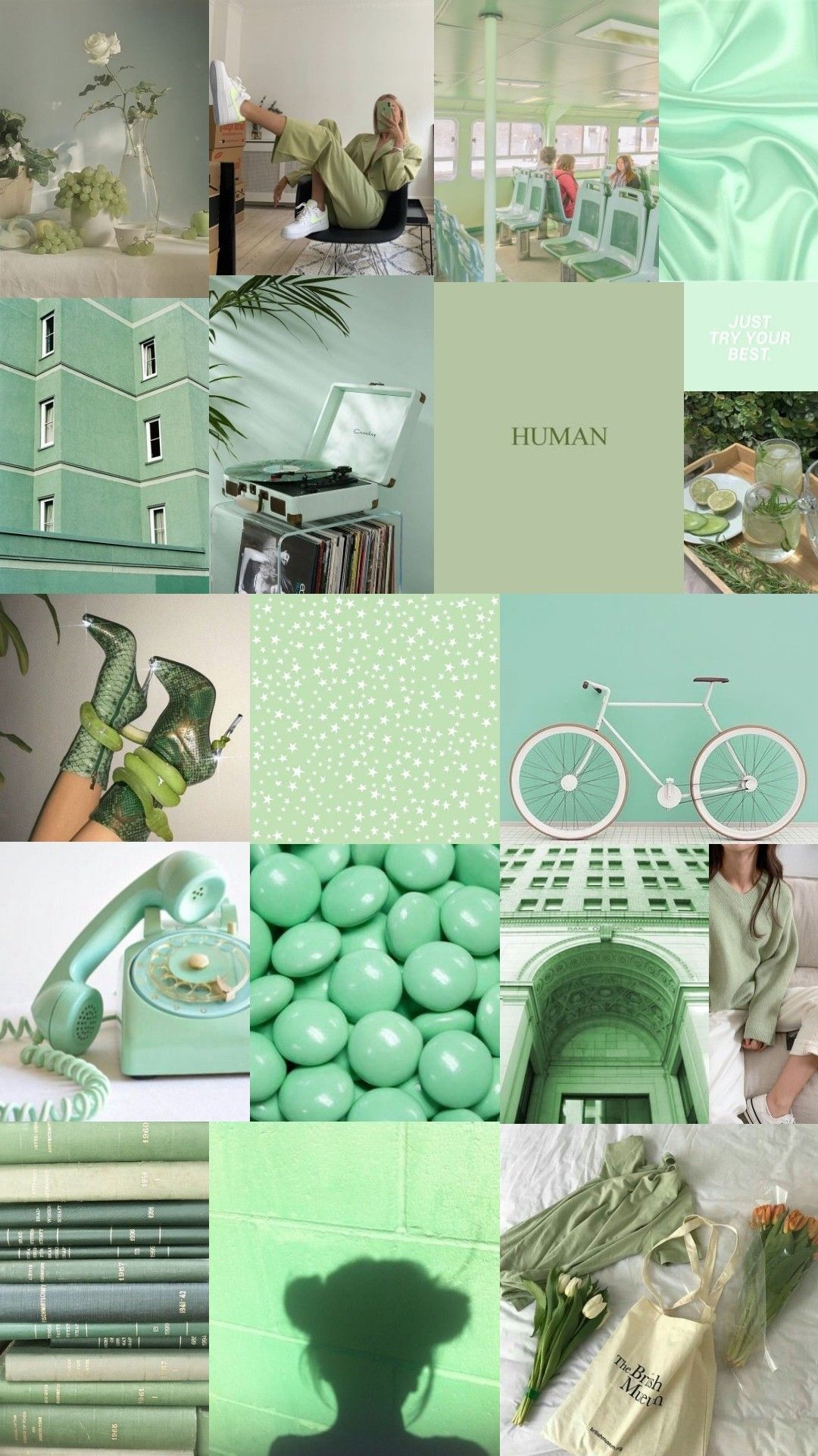 A collage of images in shades of green including plants, books, a bike, and a phone. - Pastel green