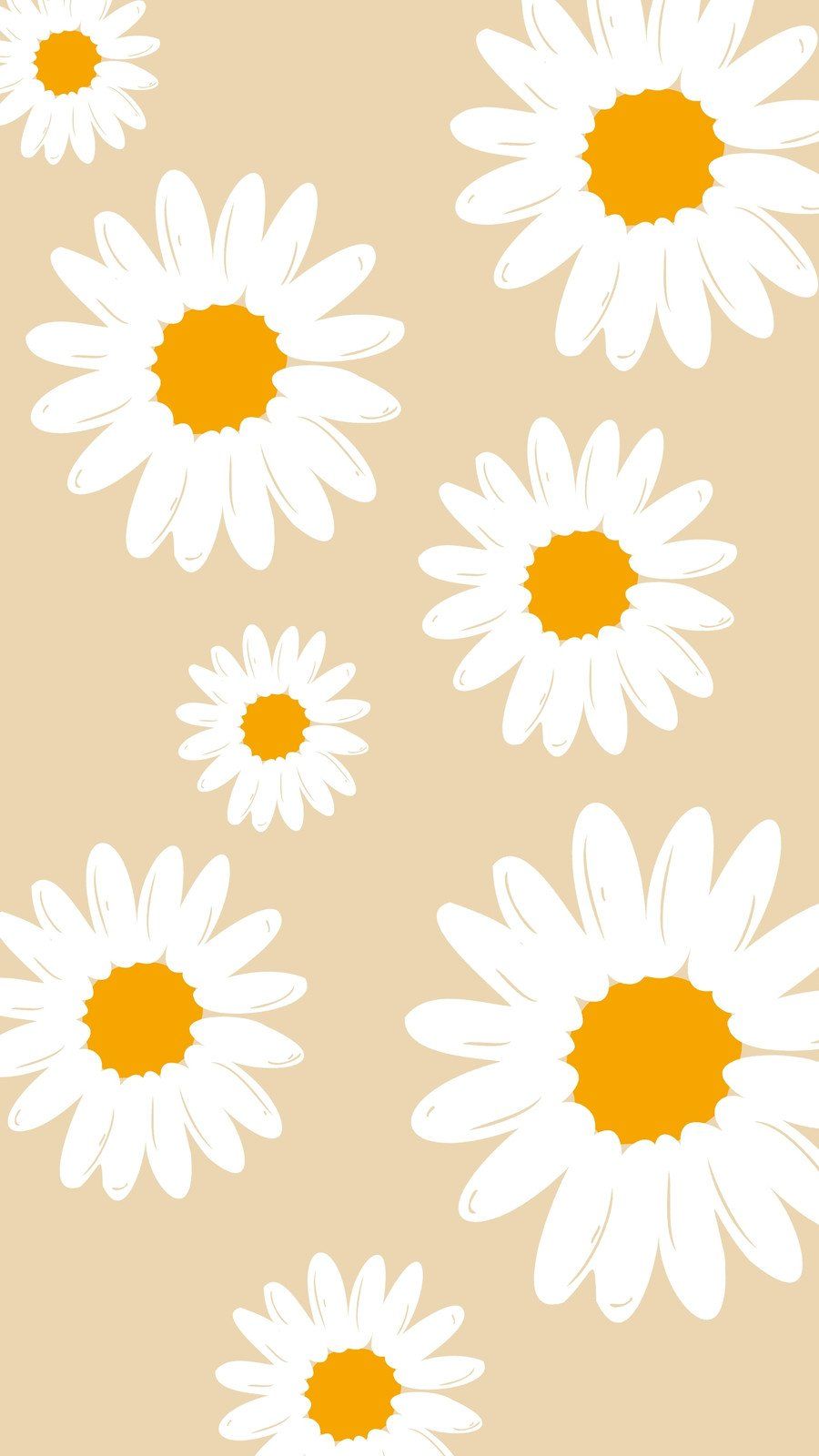 A phone wallpaper of white daisies on a brown background - Yellow iphone, daisy