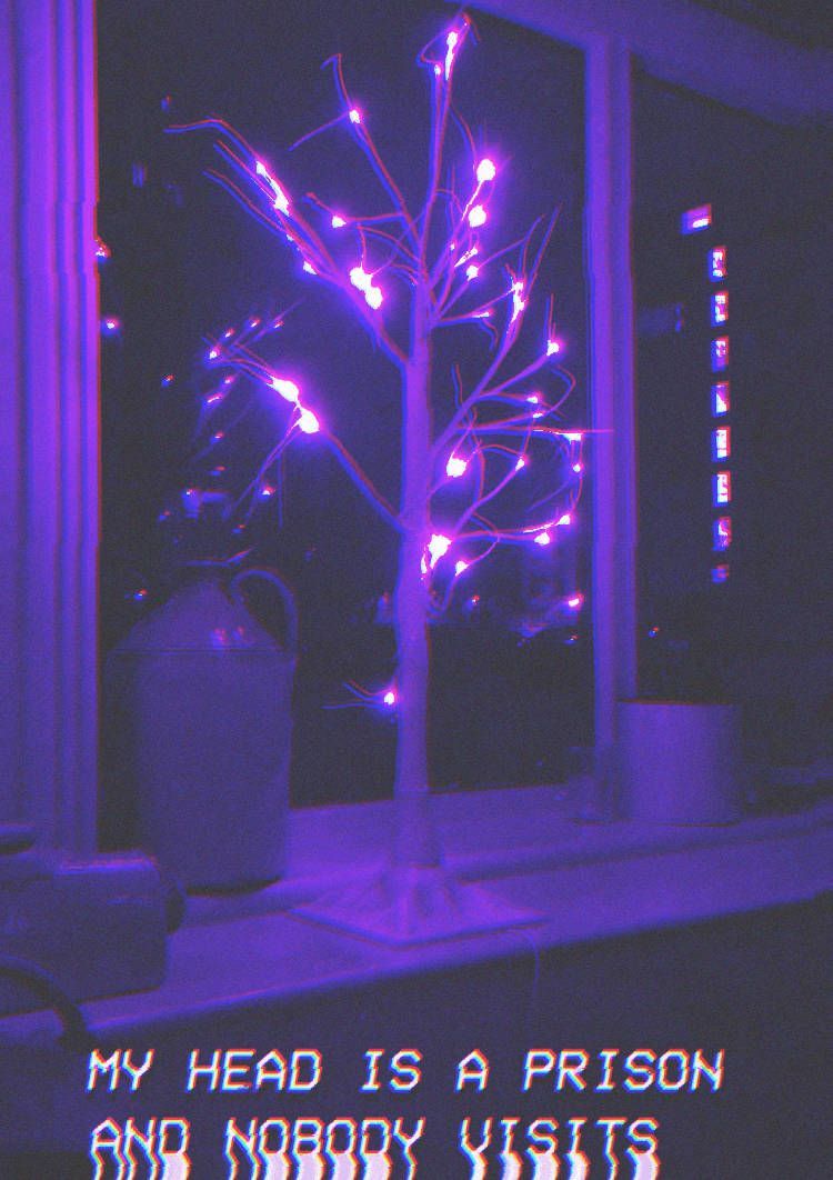 A purple tree with lights on it in front of window - Indigo