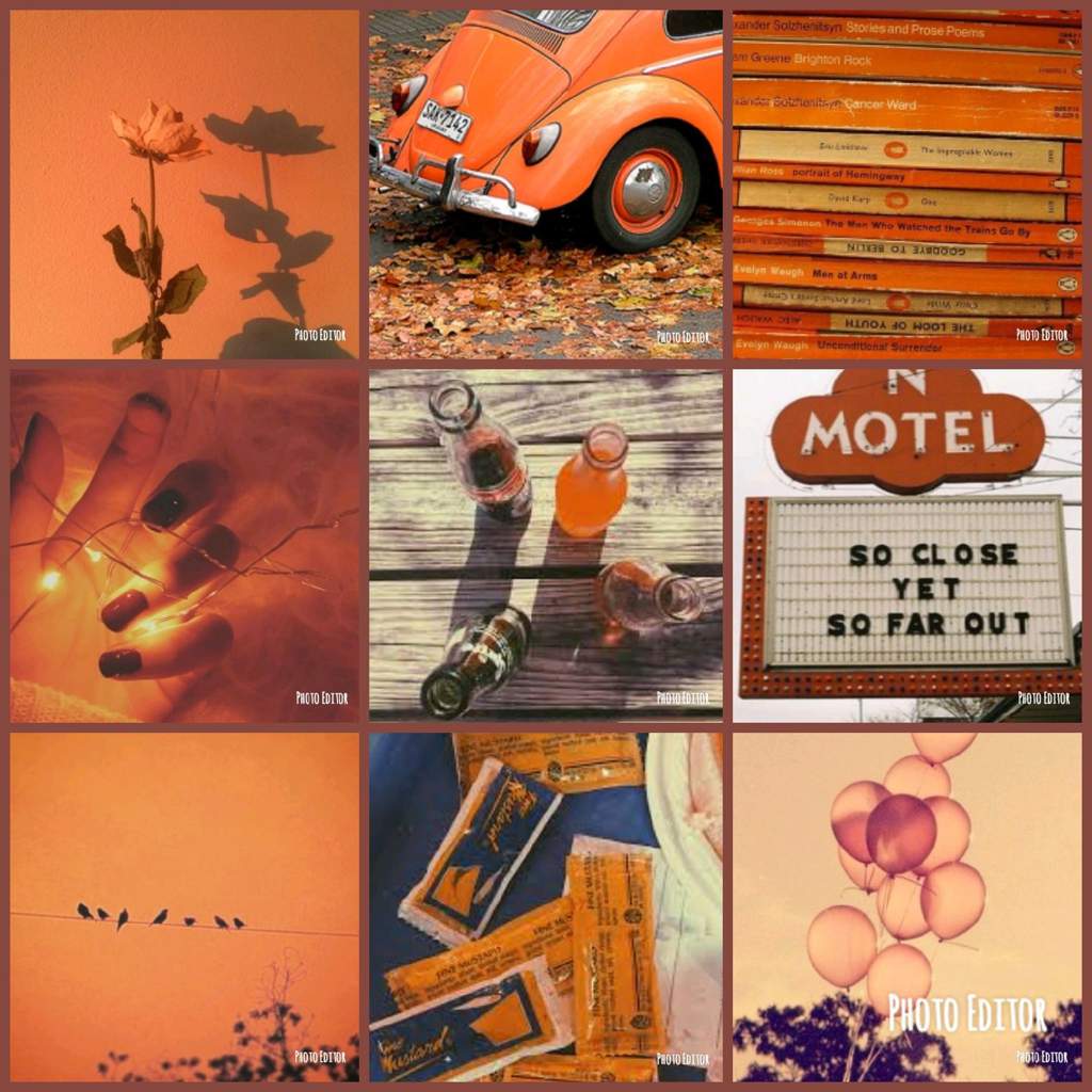 A collage of orange and brown aesthetic pictures including a car, books, and a sunset. - Pastel orange