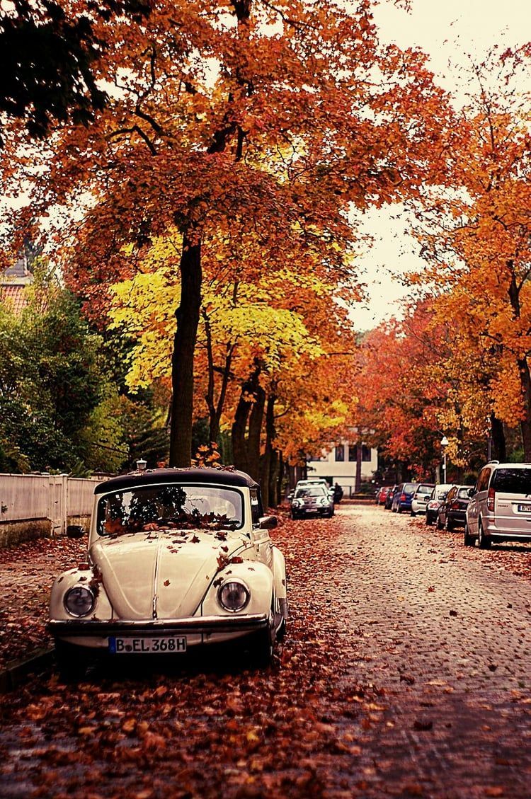 autumn, car, and fall image. Autumn scenery, Autumn scenes, Fall picture