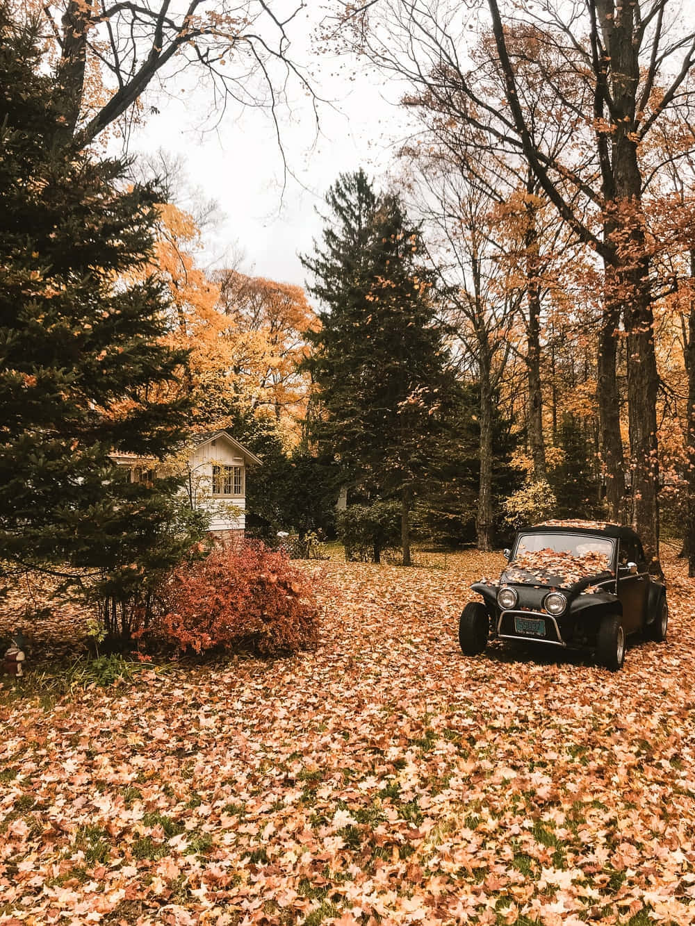 Download Welcome the warmth of autumn with this Vintage Fall view Wallpaper