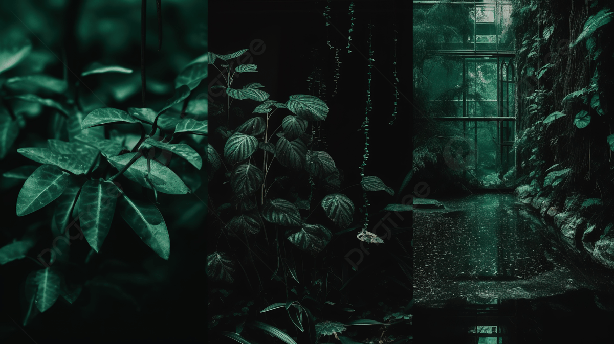 Bunch Of Image Showing Green Leaves In A Dark Rainy Shaddow Background, Dark Green Aesthetic Picture Background Image And Wallpaper for Free Download