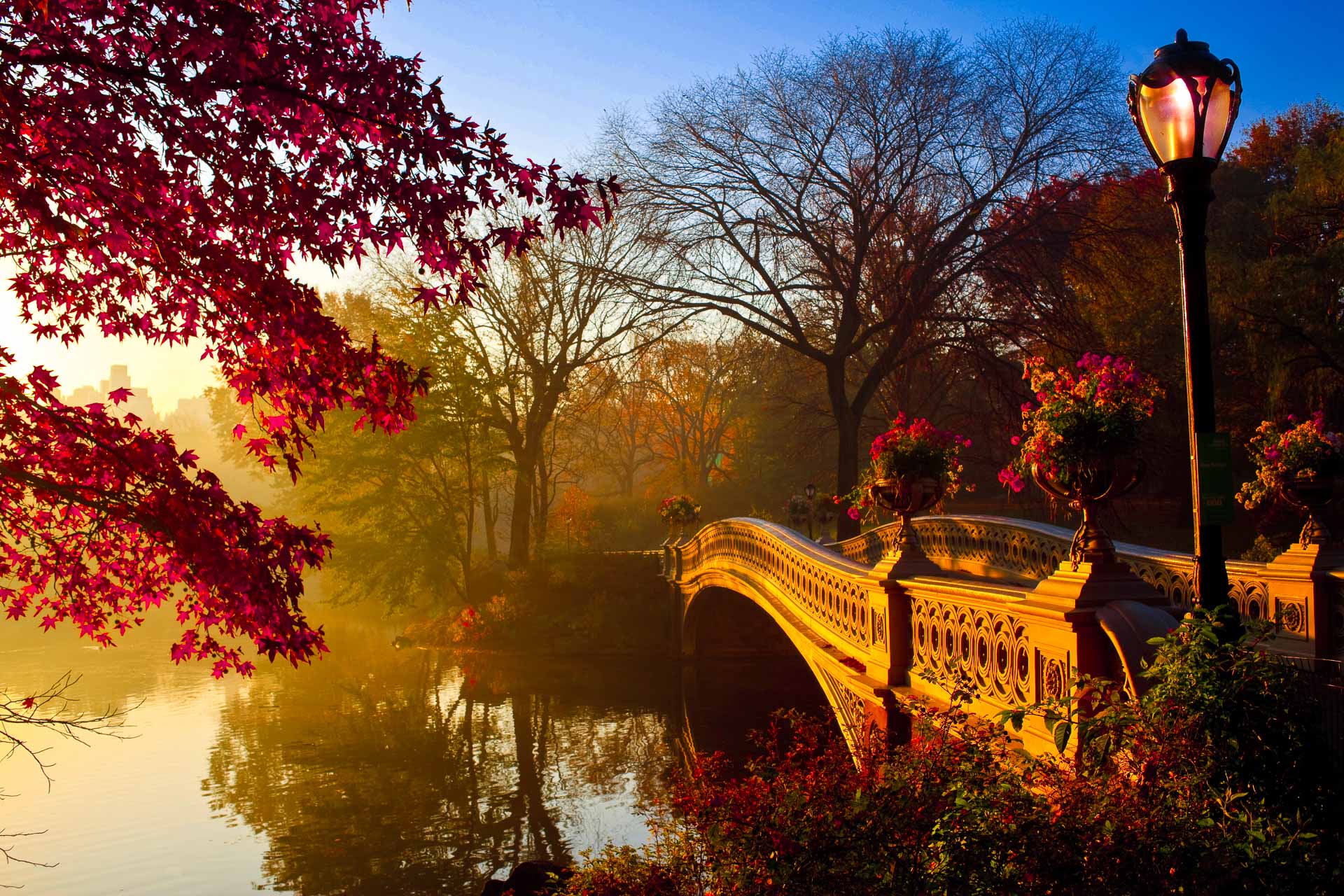 A bridge over a lake in Central Park, New York, during autumn. - Vintage fall