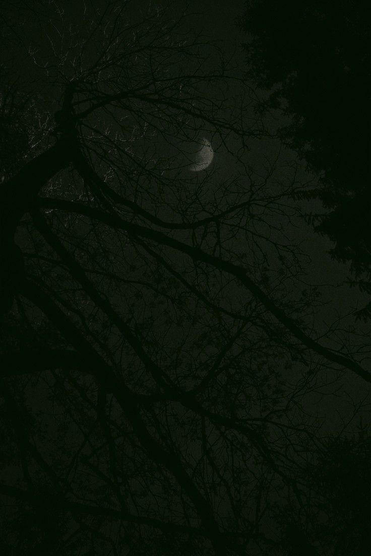 A dark night with a full moon behind a tree - Dark green