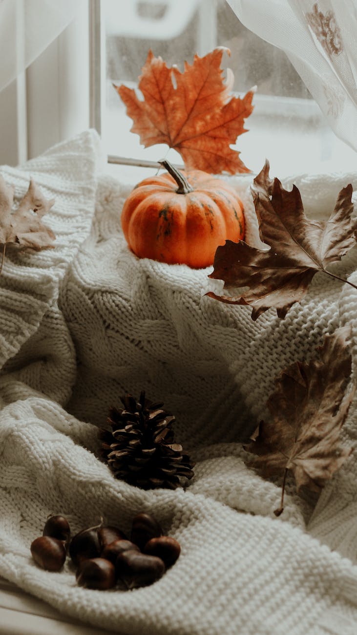 Small pumpkin sitting on a white blanket with leaves - Vintage fall
