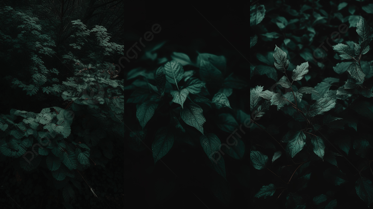 A dark forest with green leaves. - Dark green