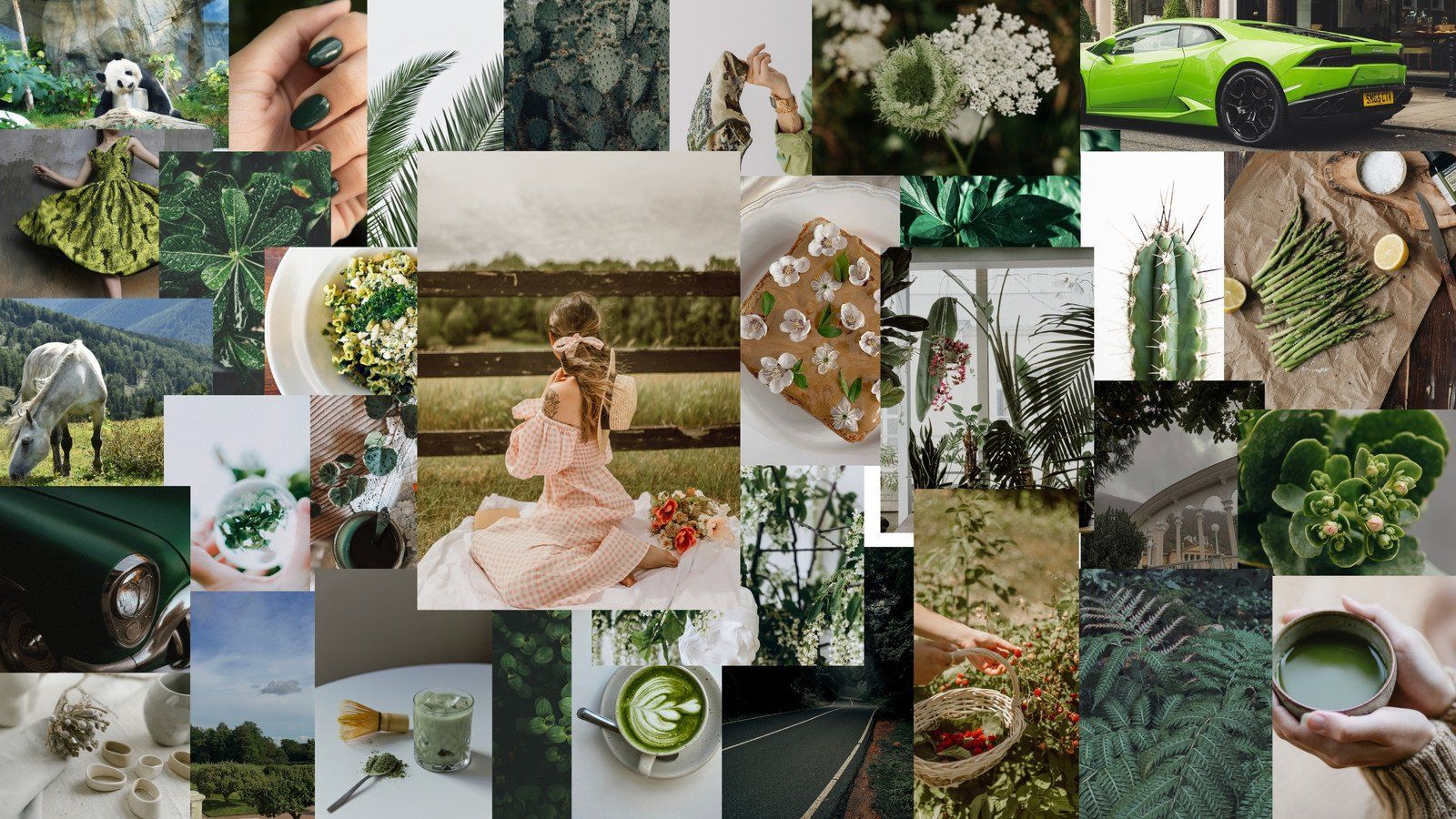 A collage of images of greenery, people, and things that are green. - Dark green