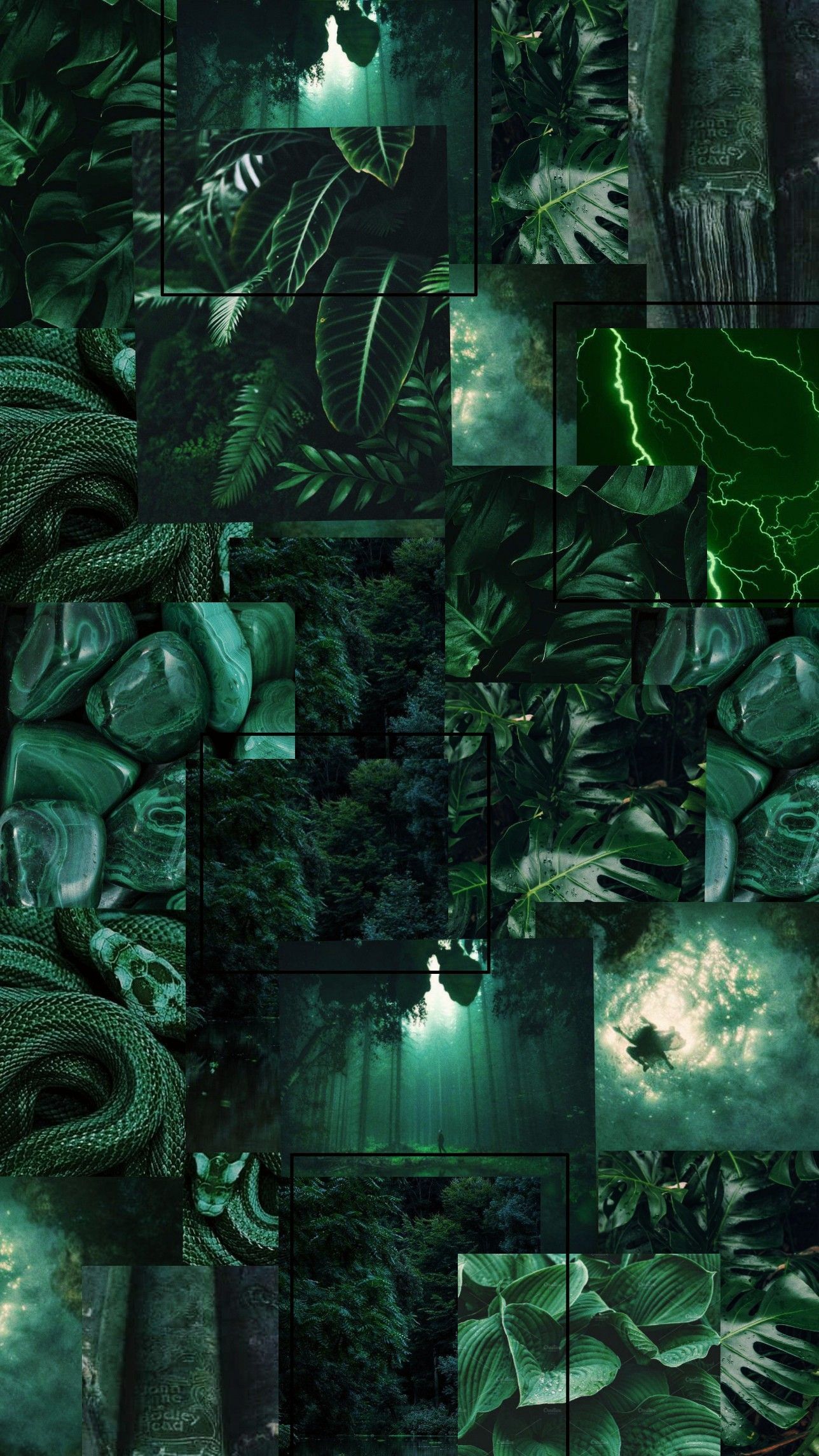 Green aesthetic wallpaper for phone and desktop. - Dark green