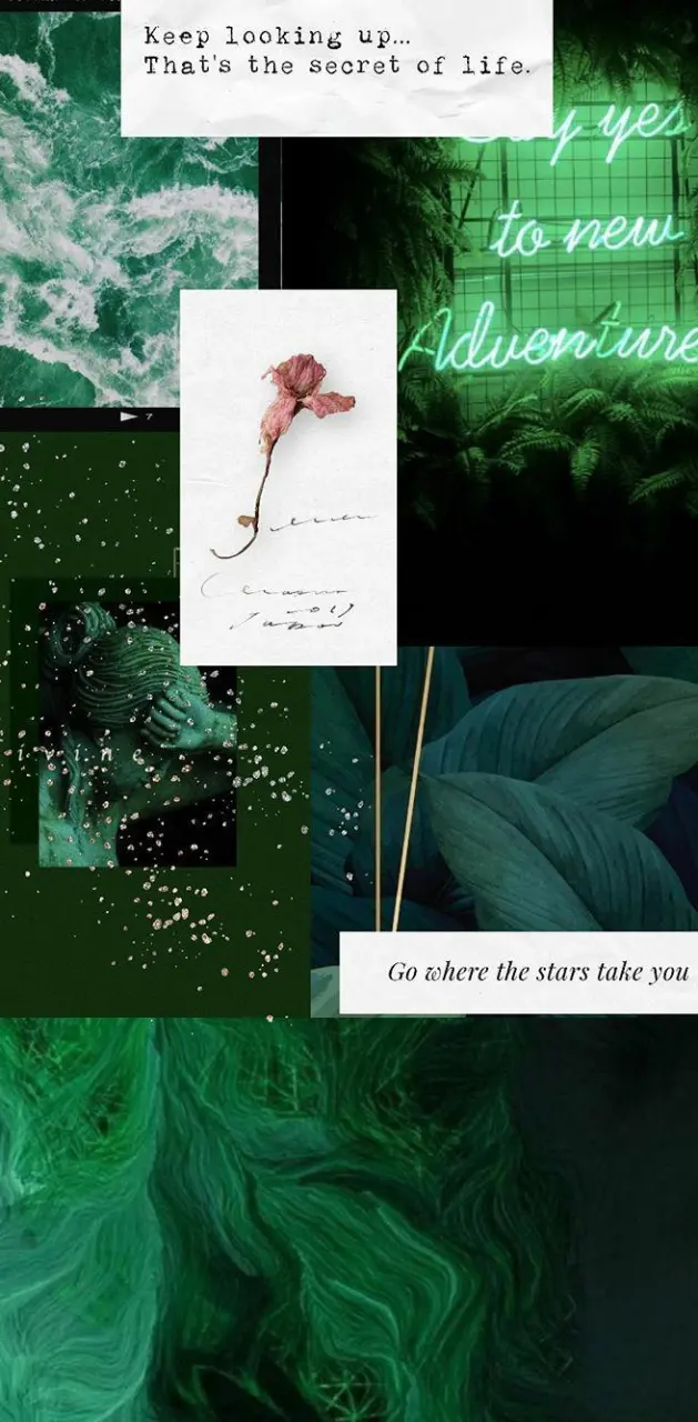 A collage of photos including a flower, a neon sign, and a bed of green leaves. - Dark green