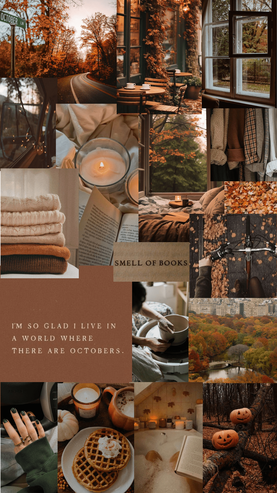 A collage of photos of fall, including leaves, pumpkins, books, and candles. - Cute fall, pasta, cute iPhone