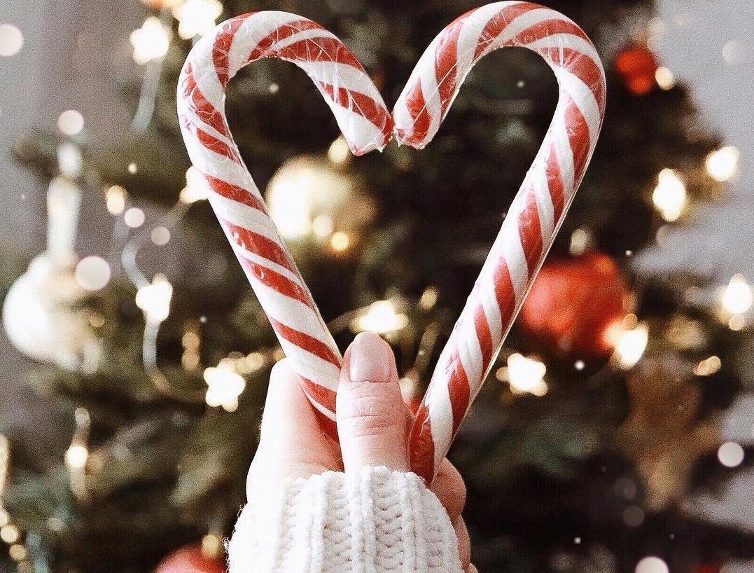 A person holding candy canes in the shape of a heart - Candy cane