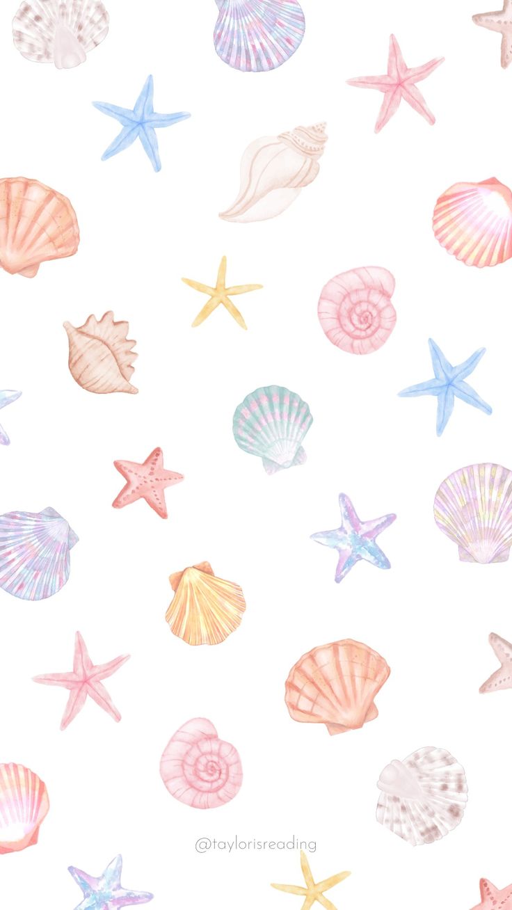Seashell phone wallpaper
