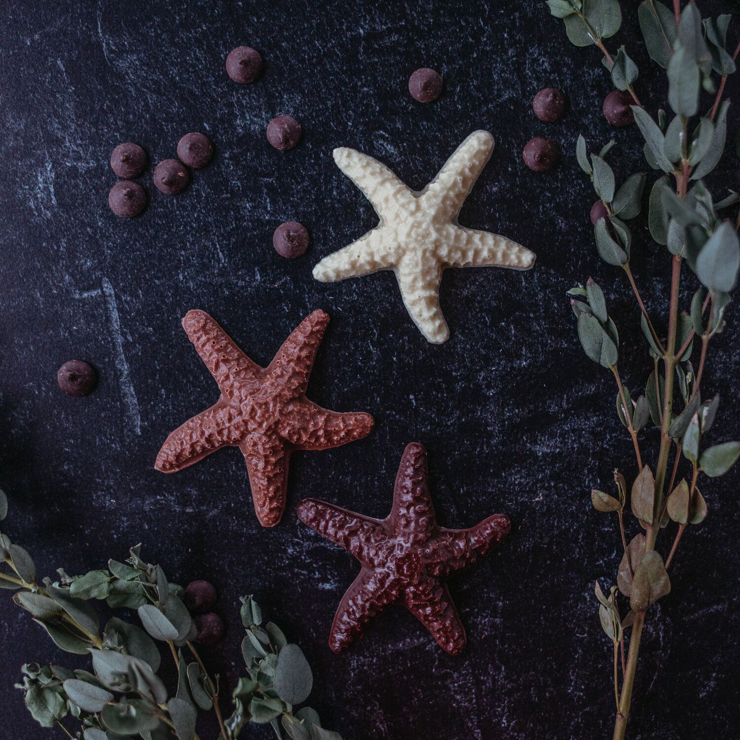 Starfish chocolate on a black background surrounded by eucalyptus - Starfish