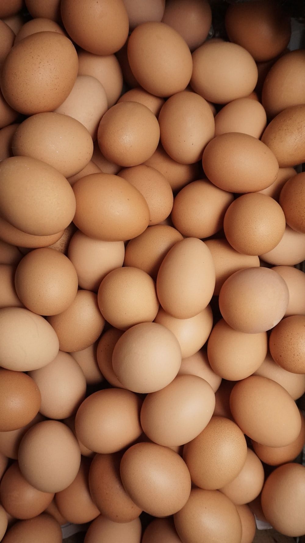 A pile of brown eggs - Egg
