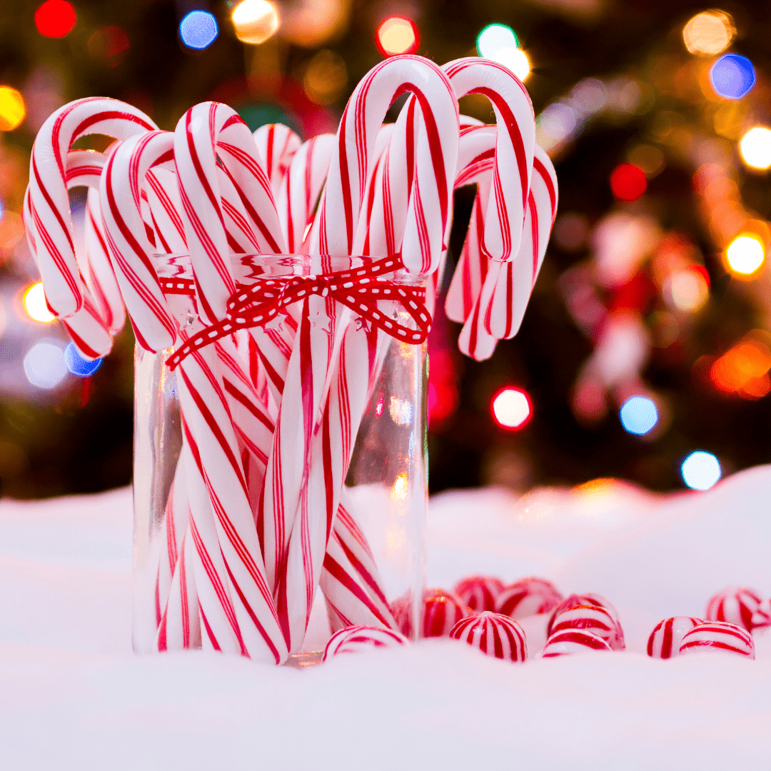 A glass jar full of candy canes with a red bow on it. - Candy cane
