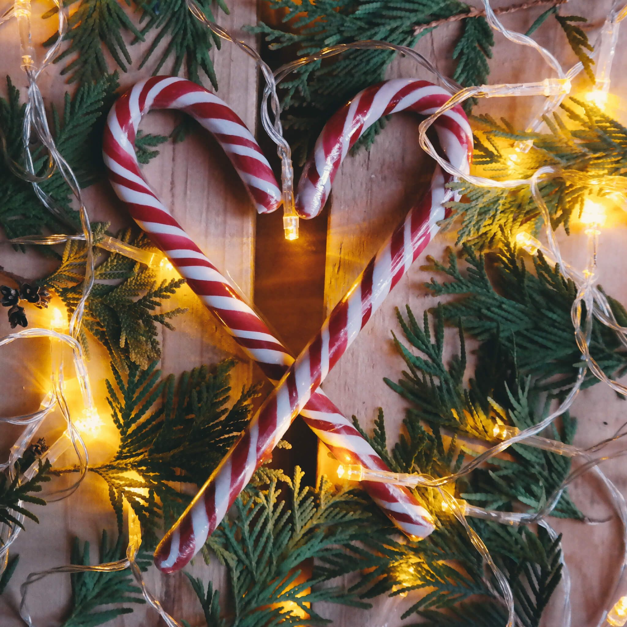 A heart made out of candy canes surrounded by Christmas lights - Candy cane