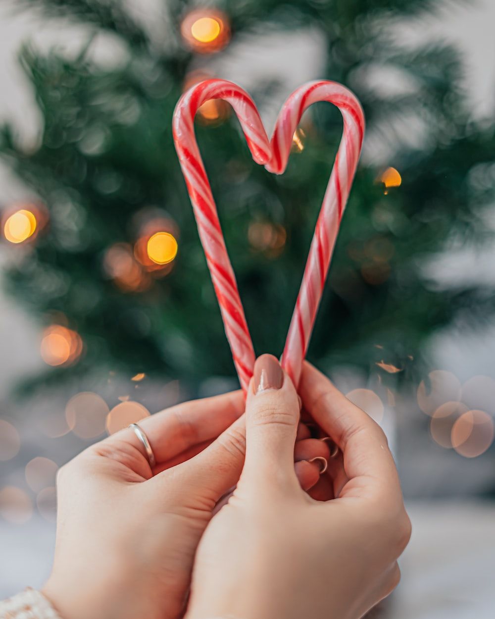 A woman's hands holding two candy canes in the shape of a heart. - Candy cane