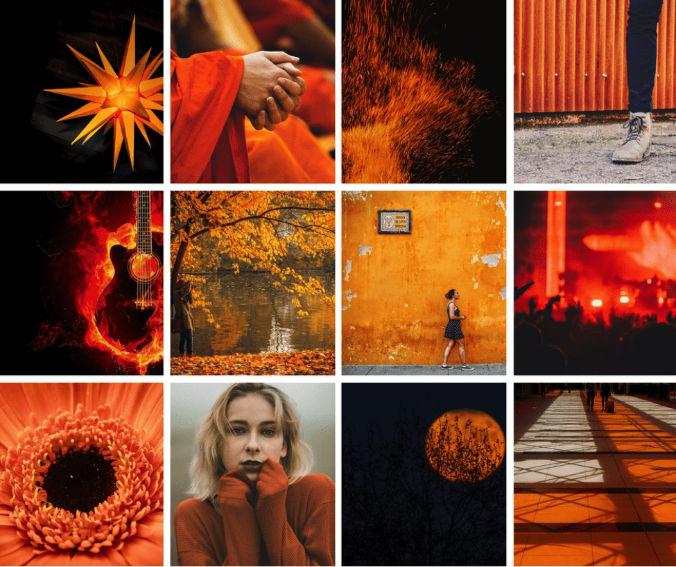 A mood board featuring various orange images, including a sun, a flower, and a woman. - Dark orange