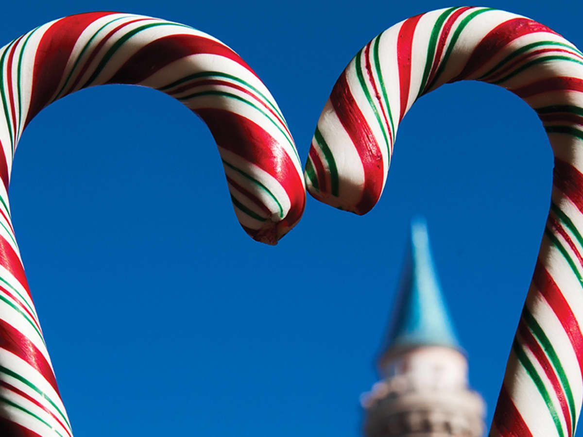 Two candy canes in the shape of a heart - Candy cane