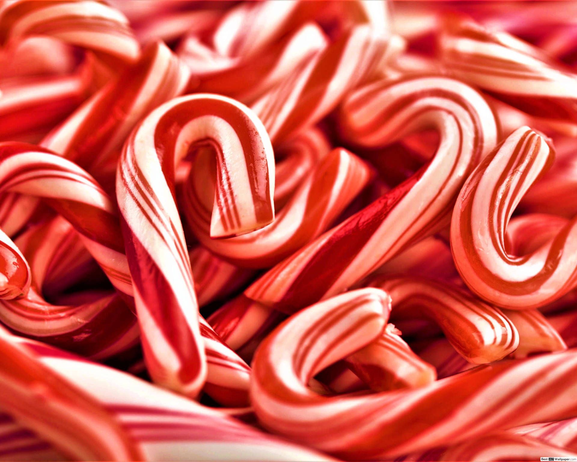A pile of red and white candy canes - Candy cane