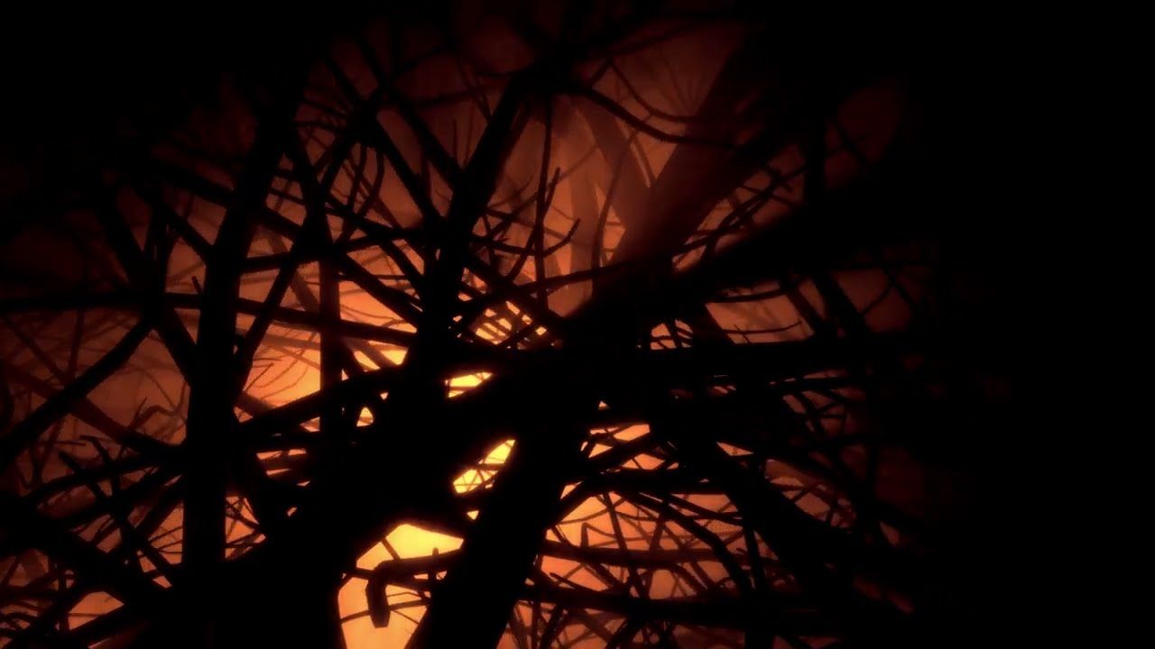 Orange Fog Through Trees 4K Halloween 2023 No Copyright Free Background Video
