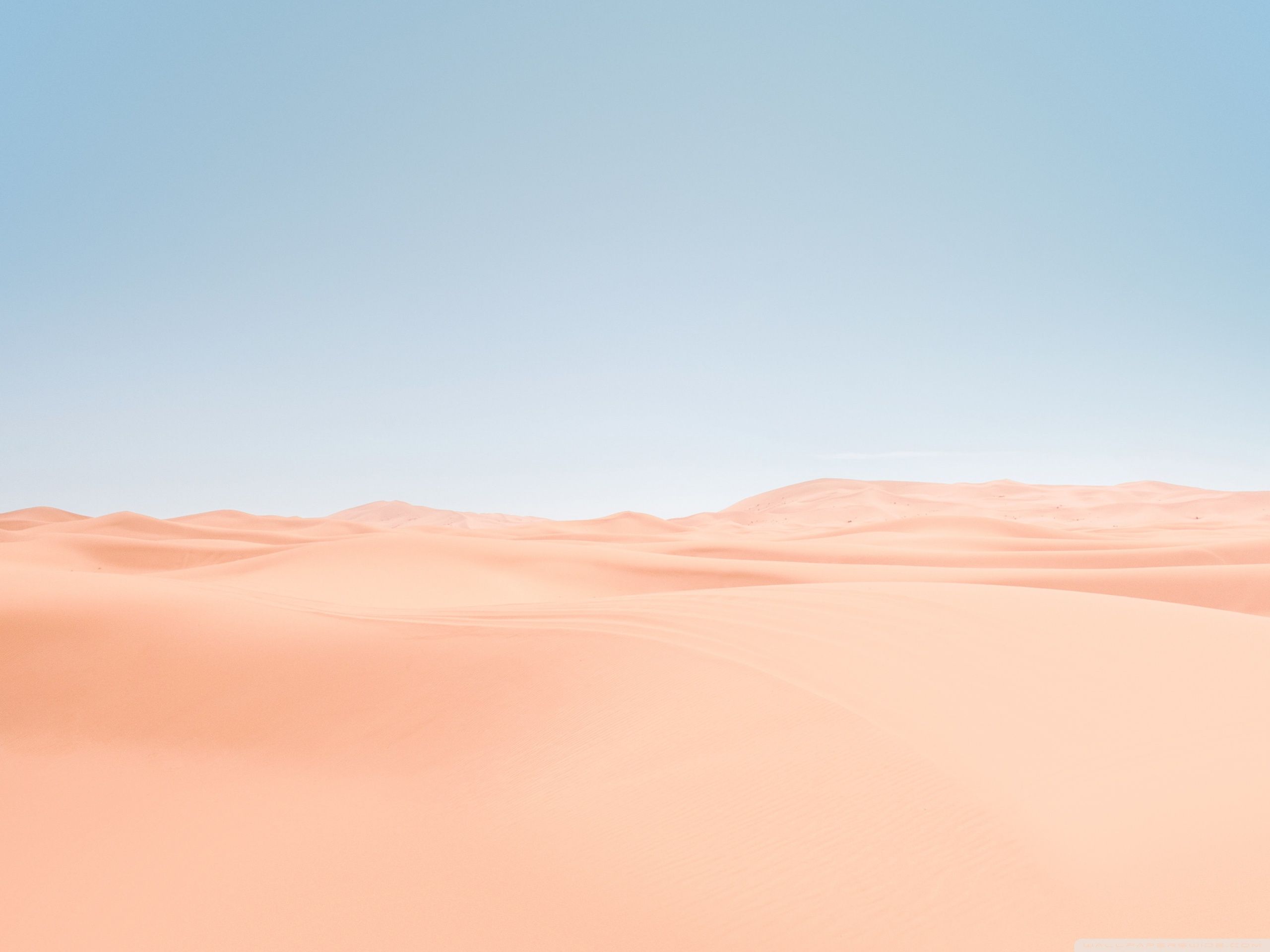 A picture of an empty desert with sand dunes - Desert