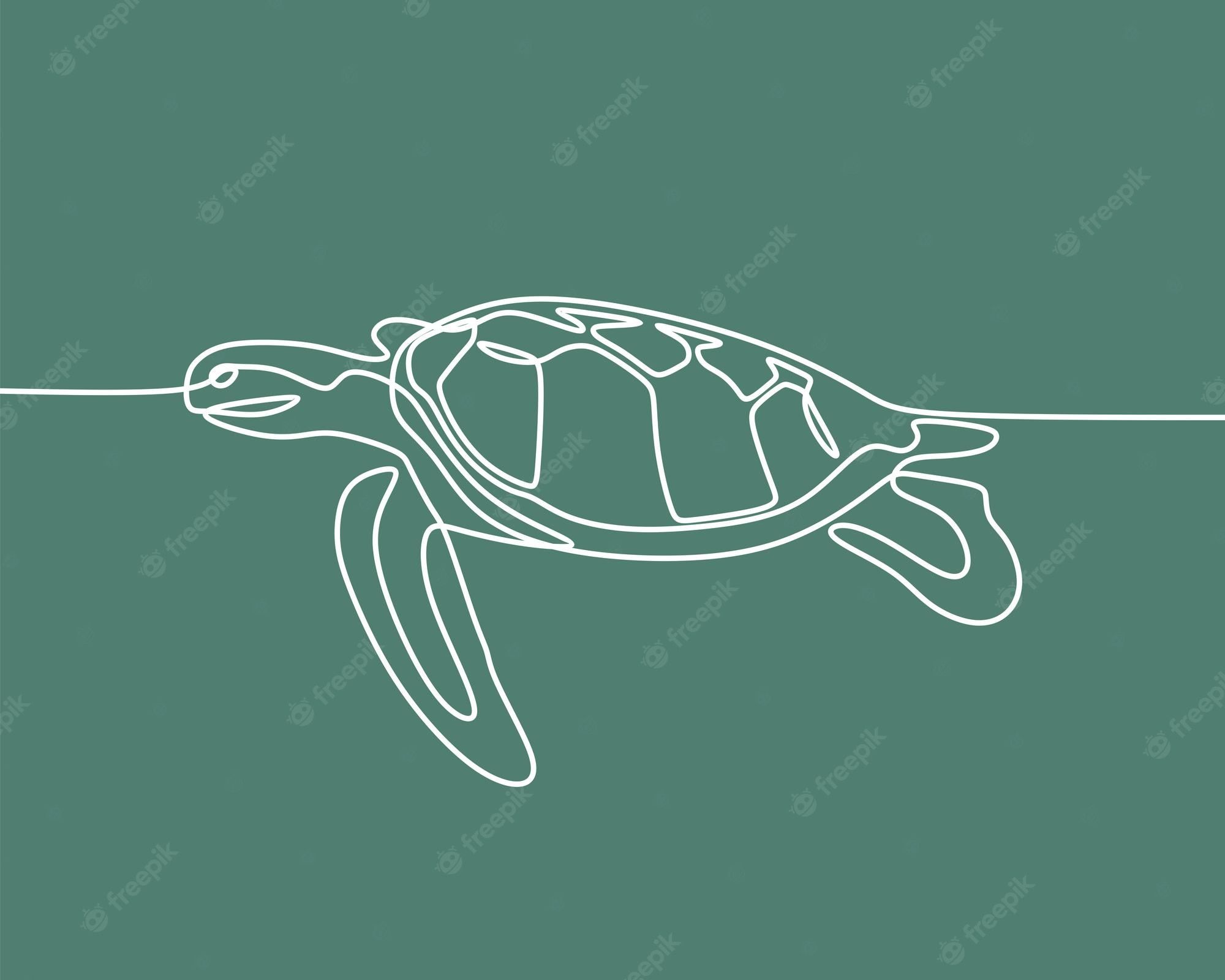 A turtle on the line, continuous drawing of an animal png and vector - Sea turtle