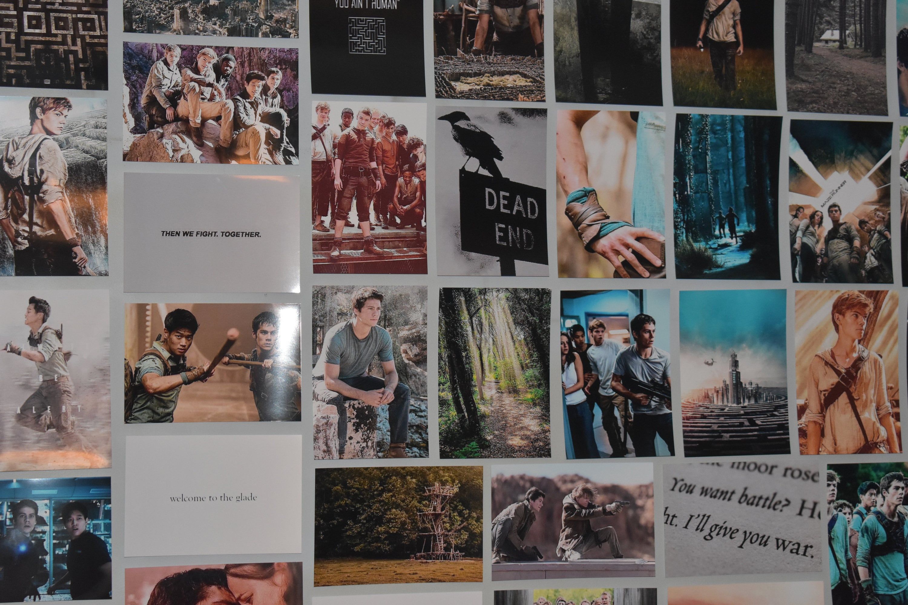 The Maze Runner Aesthetic Photowall