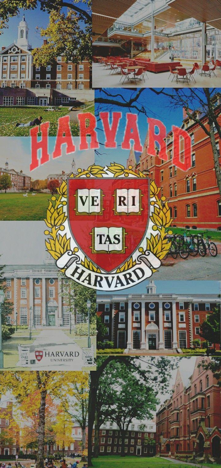 Harvard Medical School Wallpaper Free Harvard Medical School Background