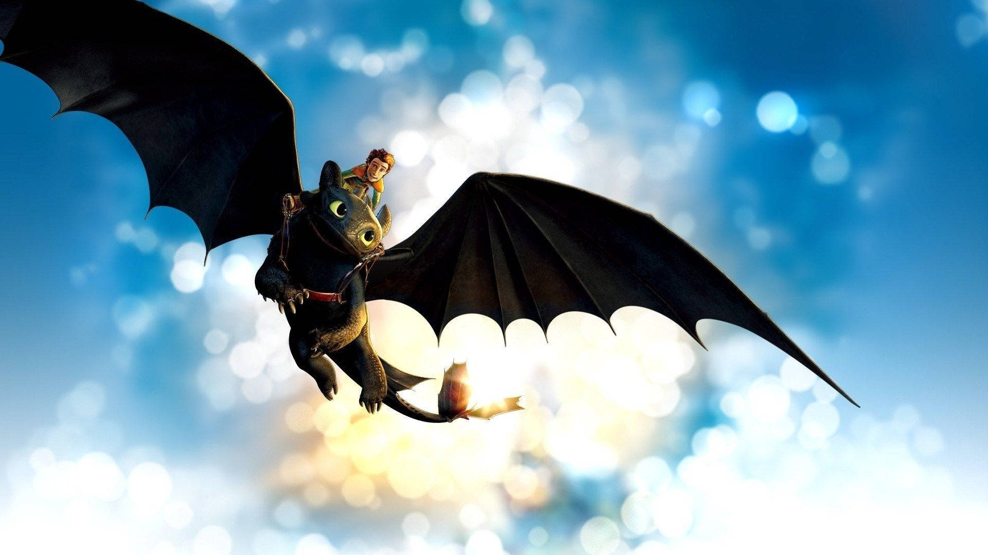 Toothless wallpaper 2560x1440 resolution - How to Train Your Dragon