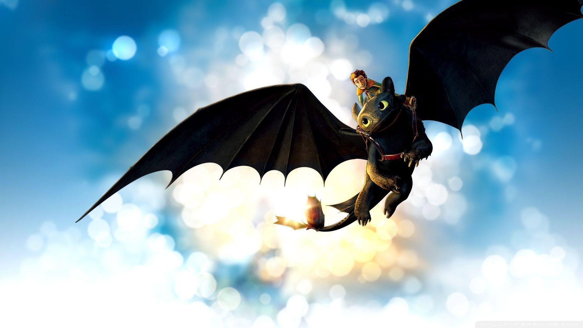 How To Train Your Dragon Wallpaper Free How To Train Your Dragon Background