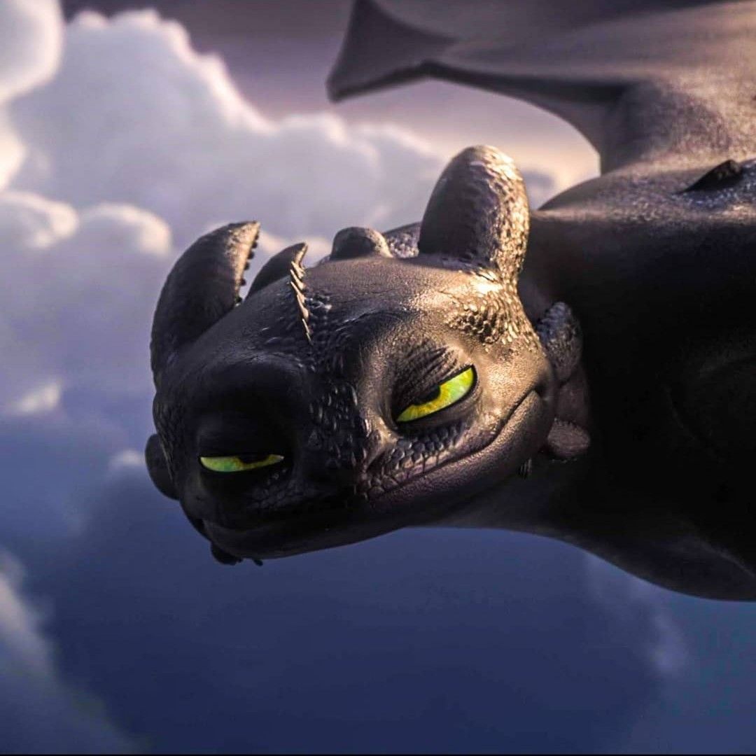 ⸙ ʜᴏᴡ ᴛᴏ ᴛʀᴀɪɴ ʏᴏᴜʀ ᴅʀᴀɢᴏɴ ⸙. How train your dragon, How to train your dragon, Cute toothless