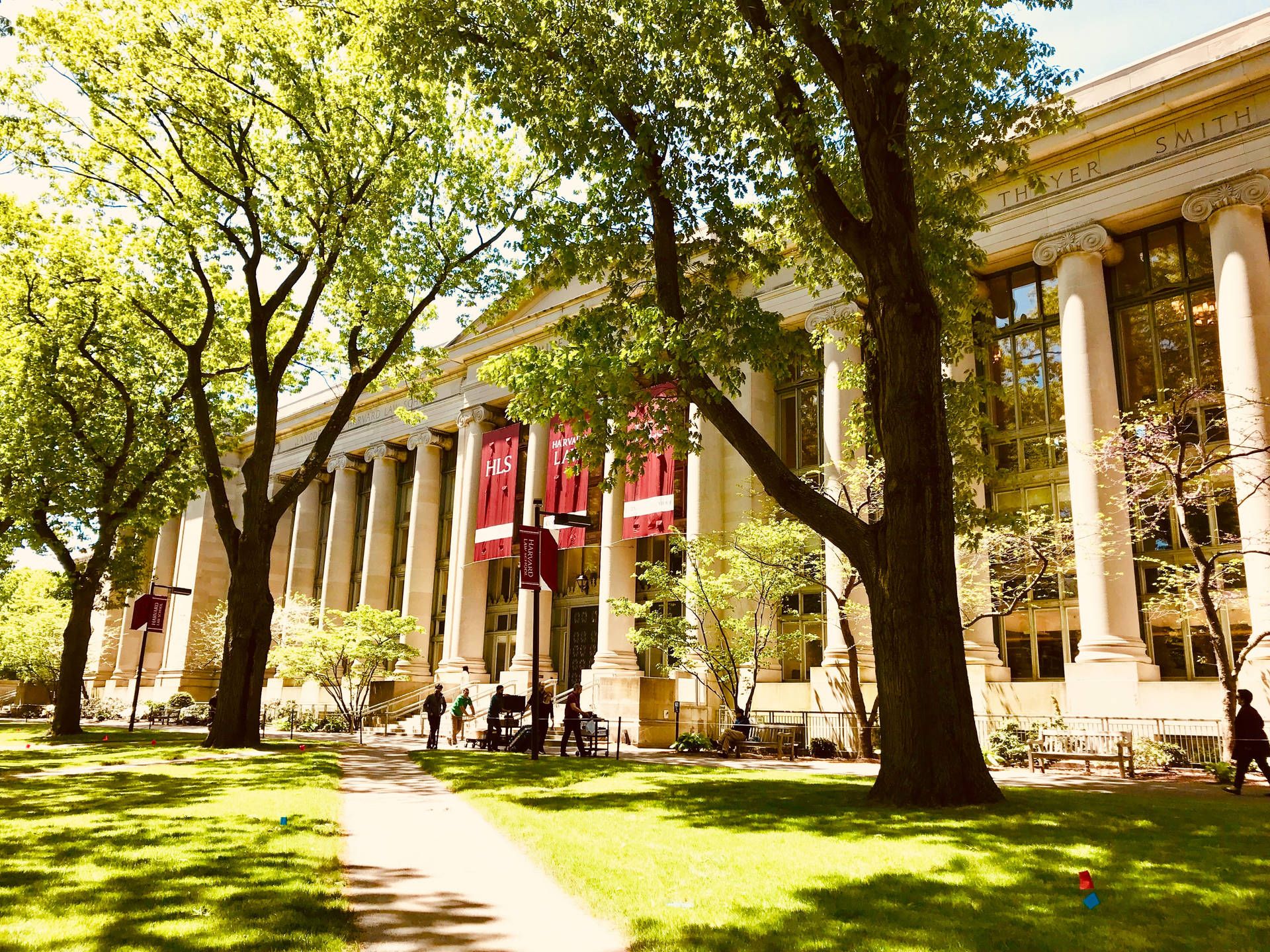 The Widener Library at Harvard University, with a row of columns and a red banner hanging from the side. - Harvard