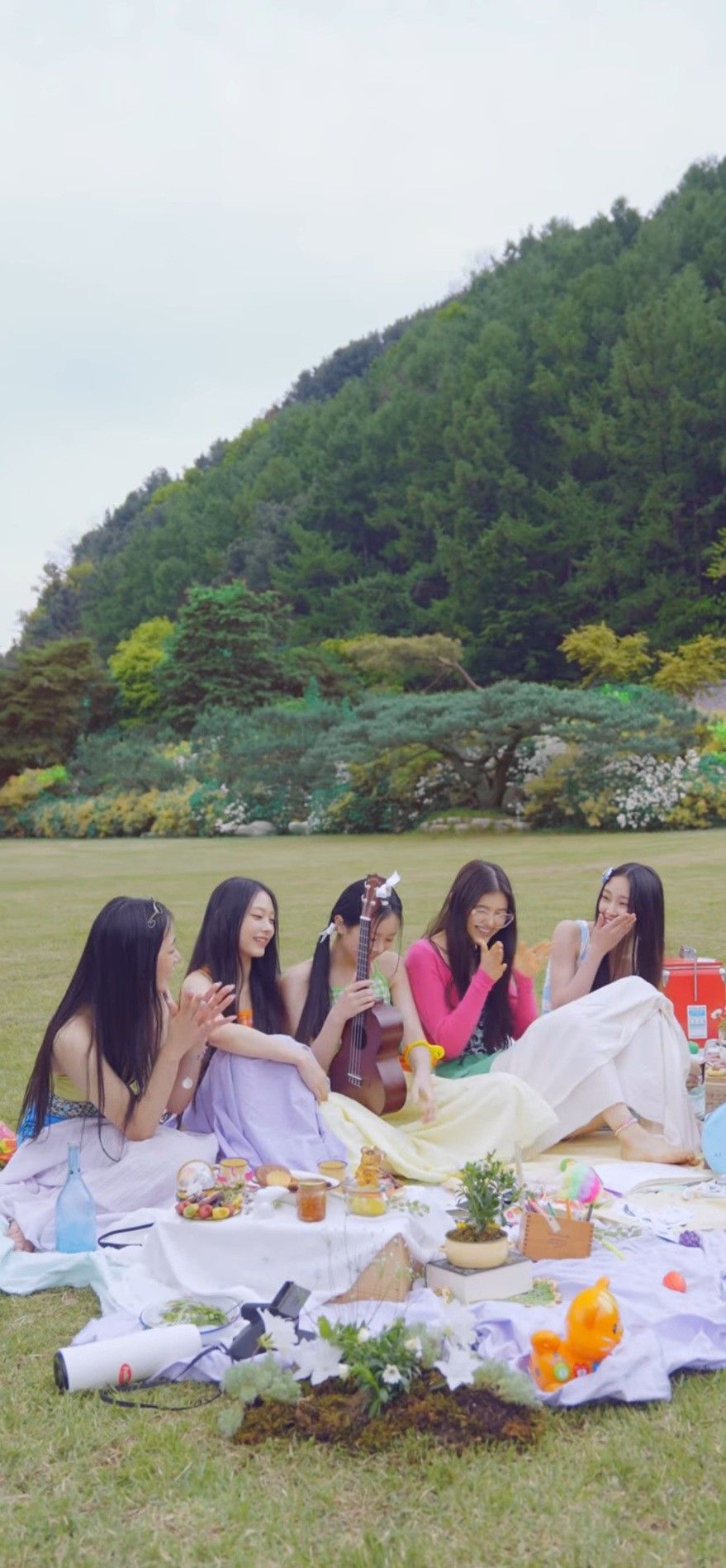 A group of six women are sitting on a blanket in a grassy field. - NewJeans