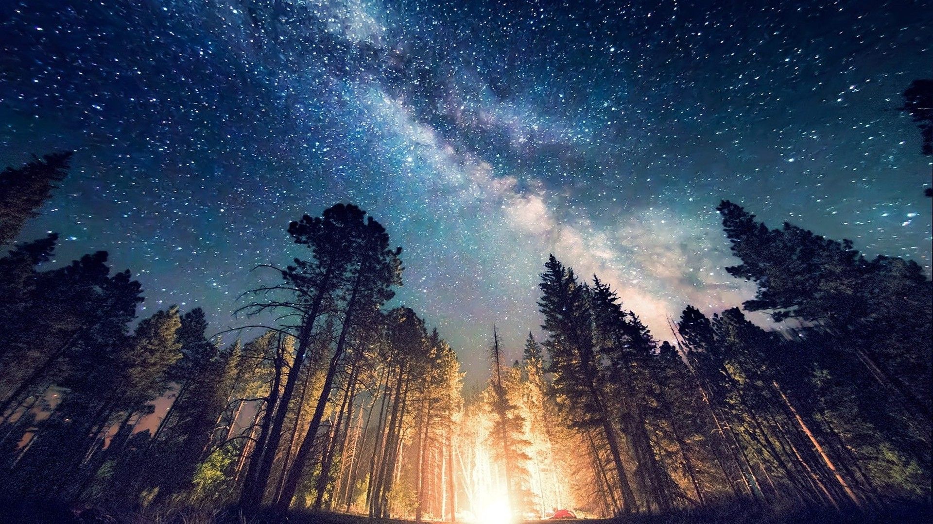 A fire in the woods underneath an amazing night sky - 1920x1080, camping