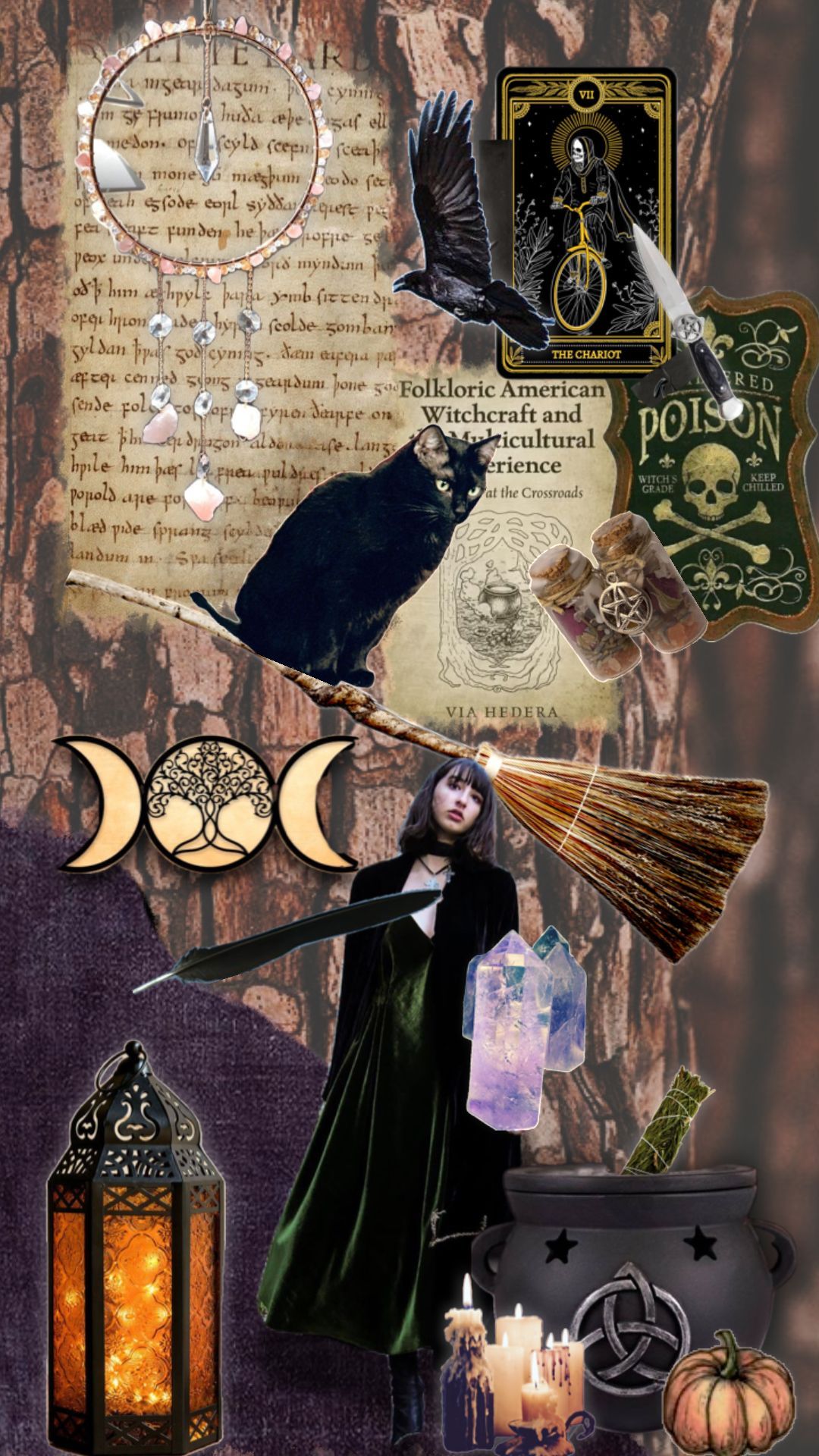 witch #witchy #witchcraft #witchaesthetic #witches #witchcore. W.i.t.c.h aesthetic, Witchcraft, Witch core