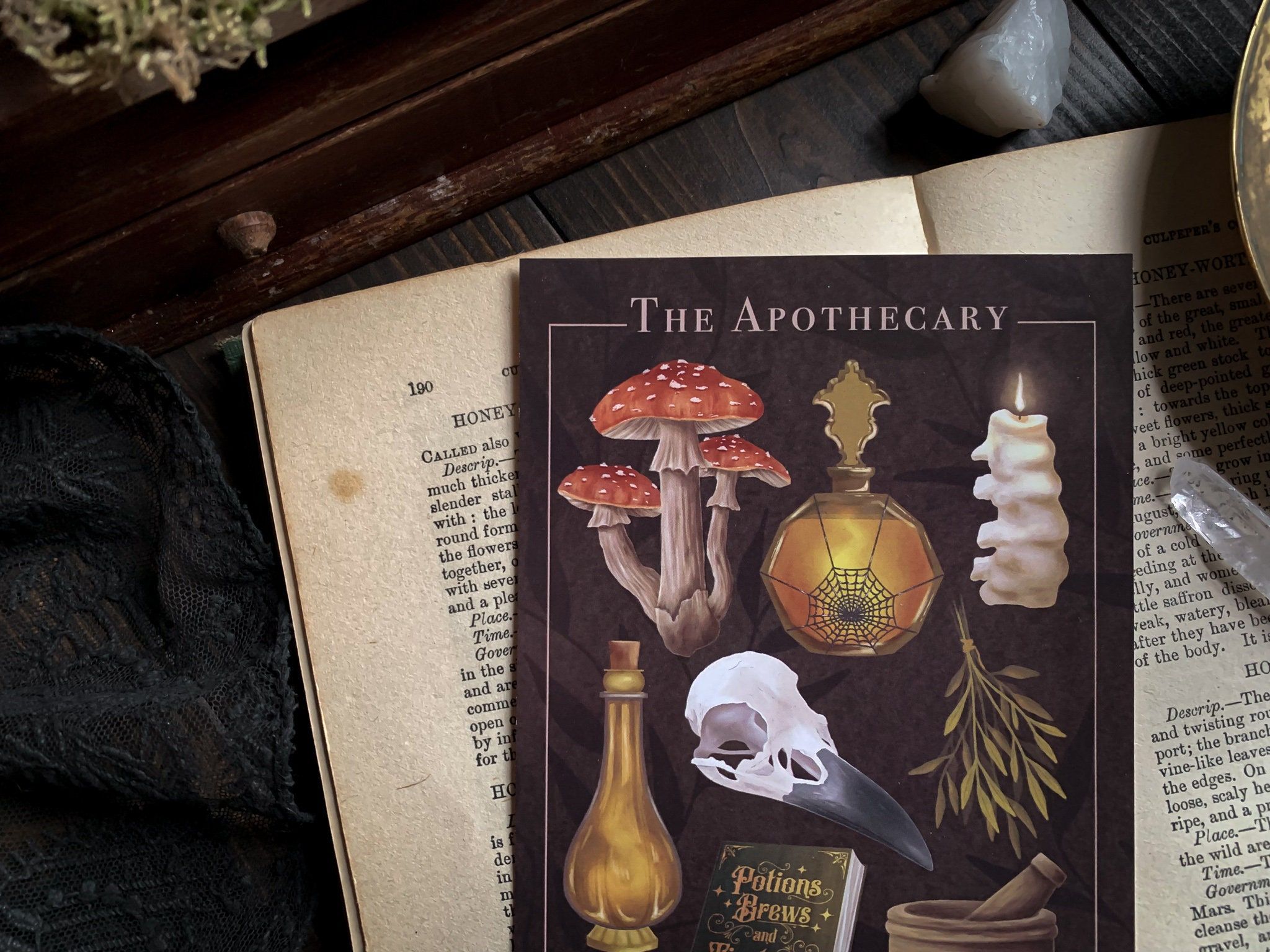 A5 print of The Apothecary illustration, featuring a toadstool, skull, spider's web, potion bottles and a raven. - Witchcore