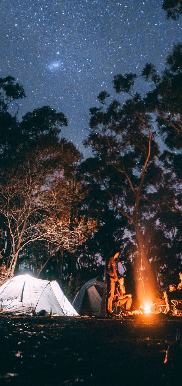 People sitting around a campfire under a starry night sky. - Camping