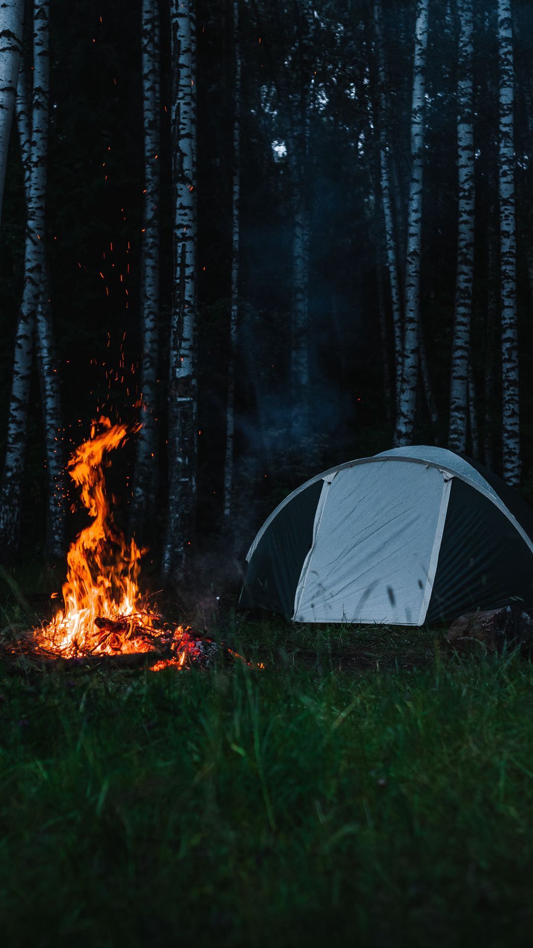 A tent and fire in the woods - Camping