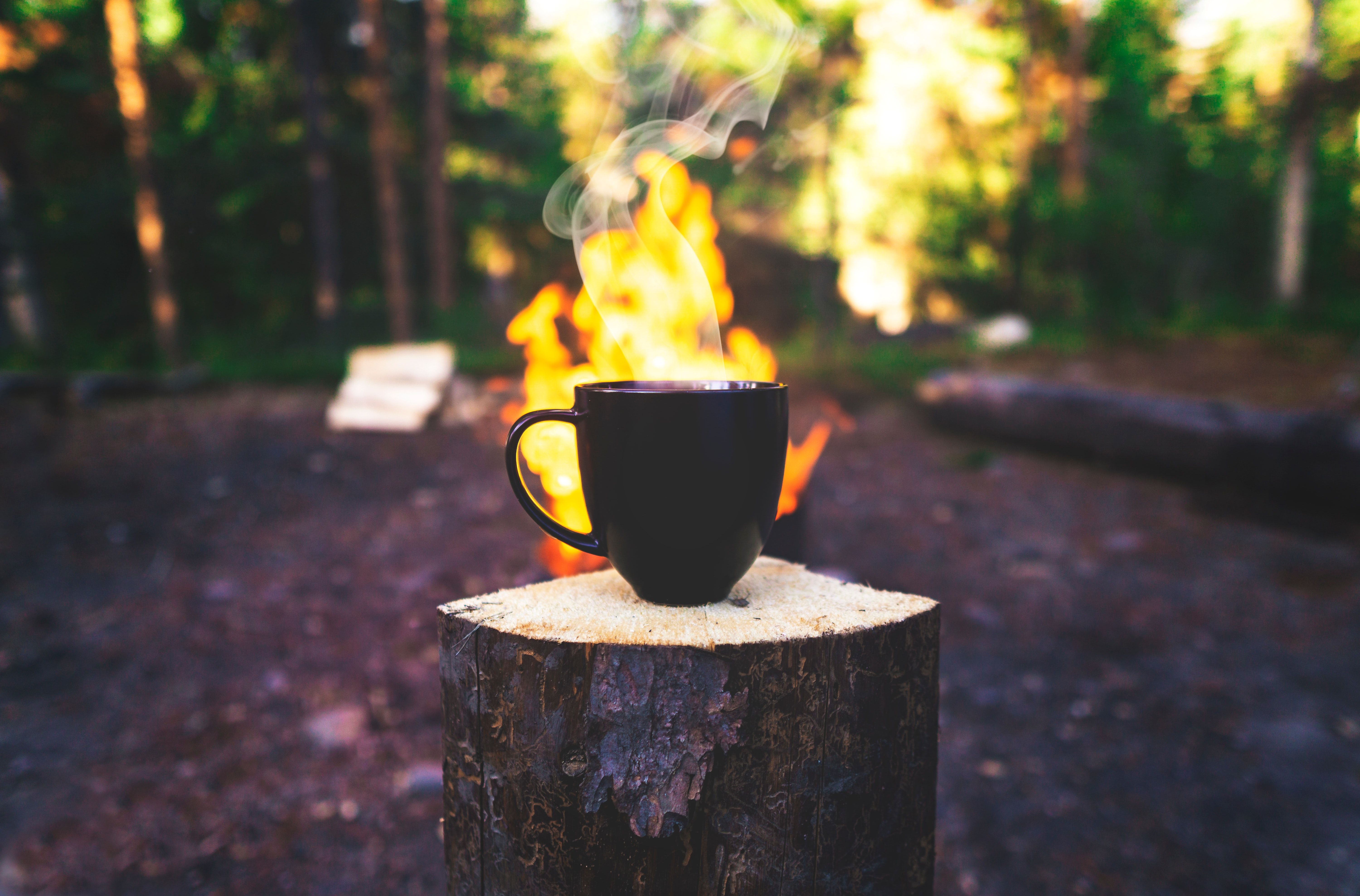 A cup of coffee on a tree stump in front of a campfire. - Camping